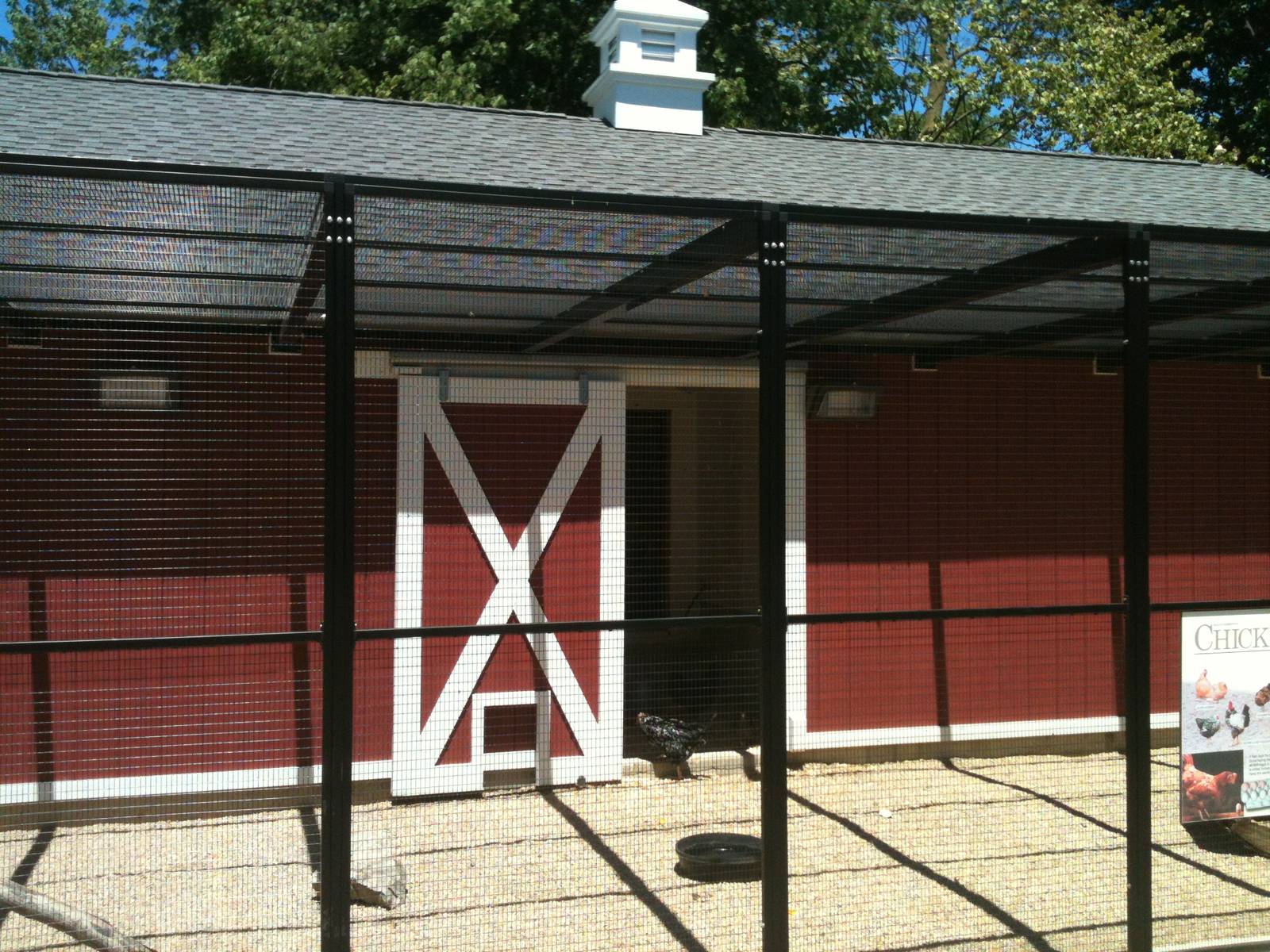 Chicken yard- June 2012