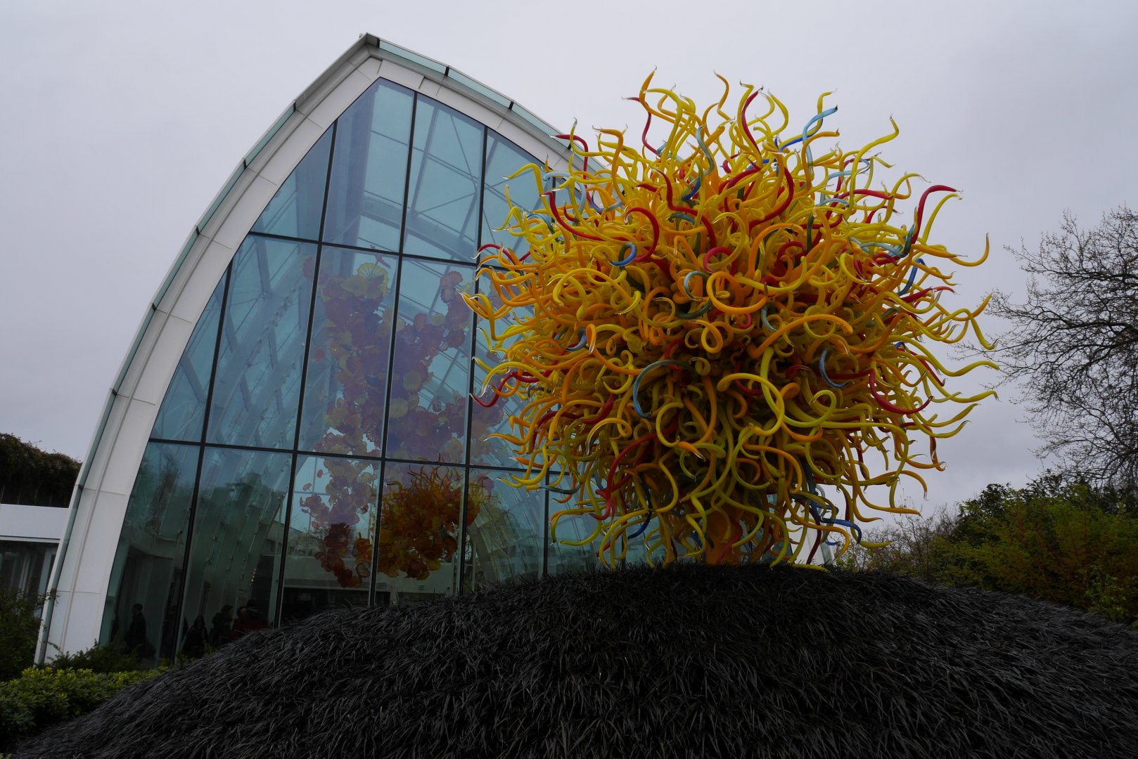 Chihuly Garden and Glass - My US Zoo Trip
