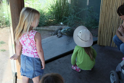 children with komodo dragon