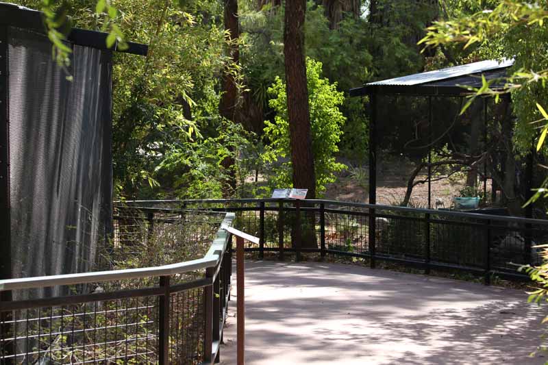 children zoo aviaries