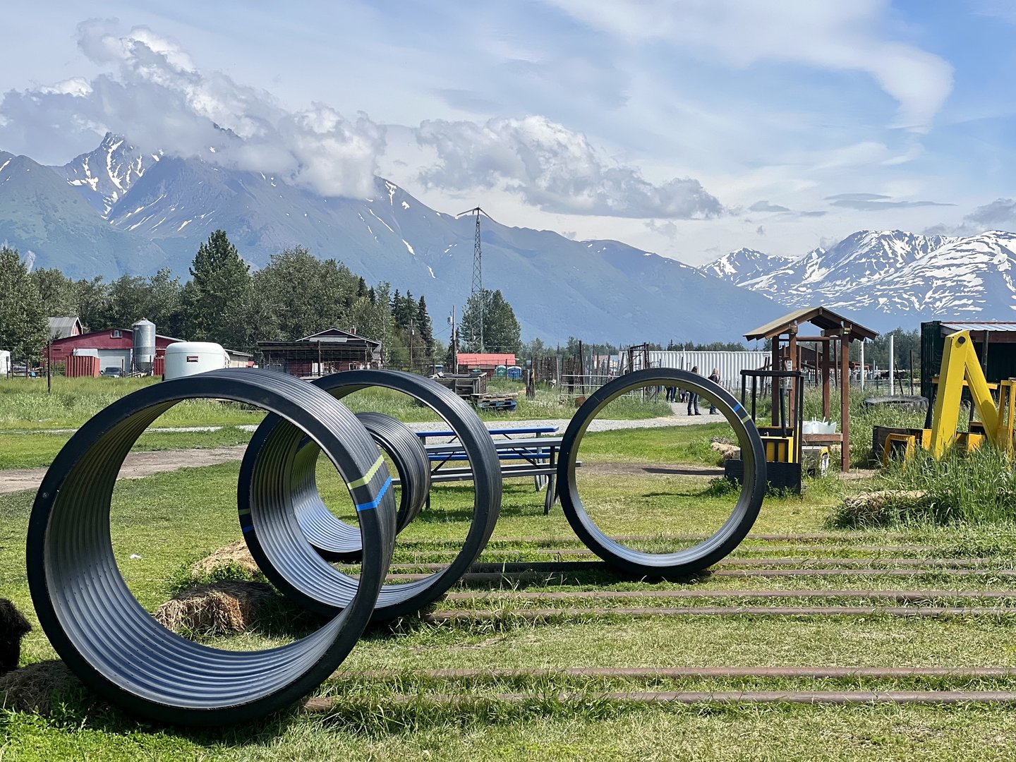 Children’s Activities