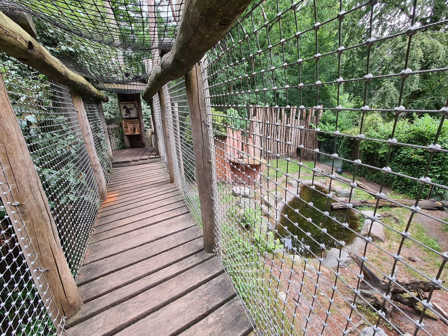 Children's bridge over Hyena enclosure