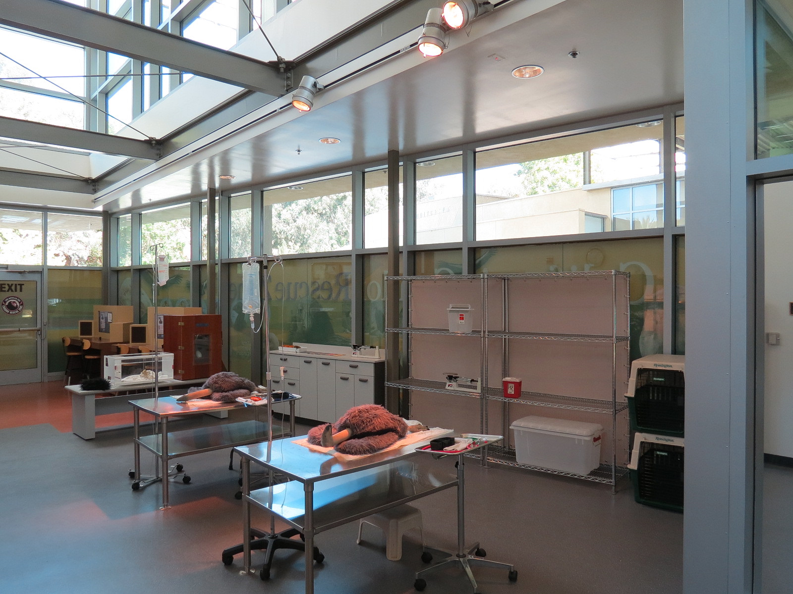 Children's Discovery Center - California Condor Rescue Zone