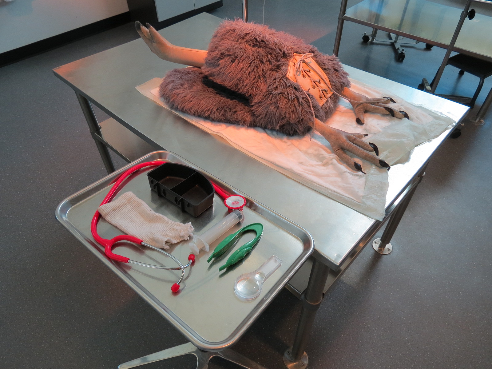 Children's Discovery Center - California Condor Rescue Zone