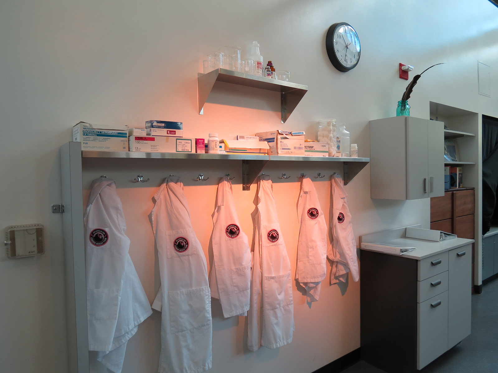 Children's Discovery Center - California Condor Rescue Zone