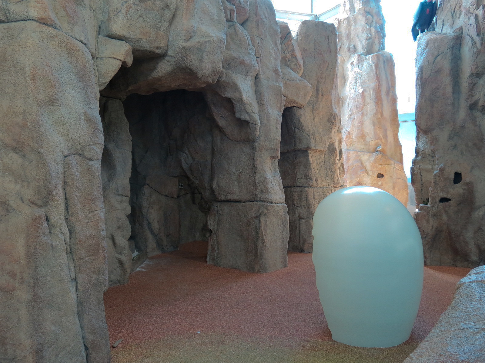 Children's Discovery Center - California Condor Rescue Zone