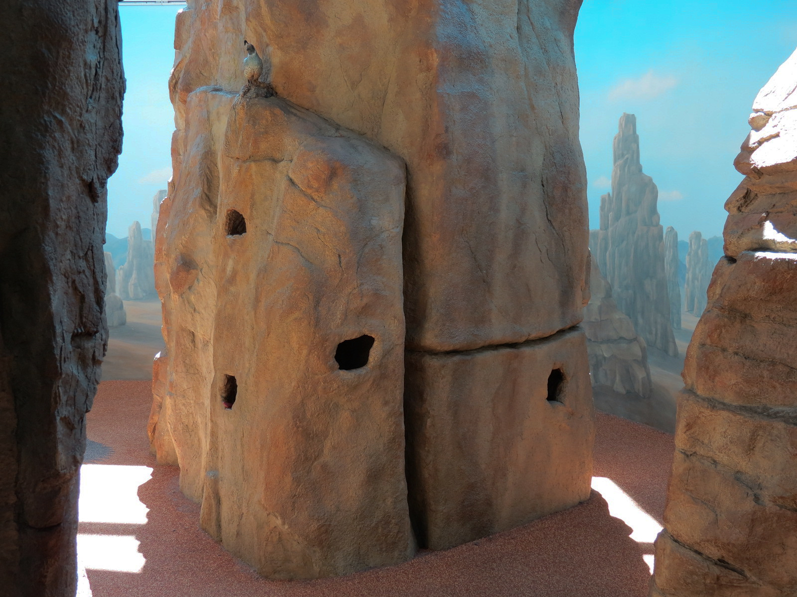 Children's Discovery Center - California Condor Rescue Zone