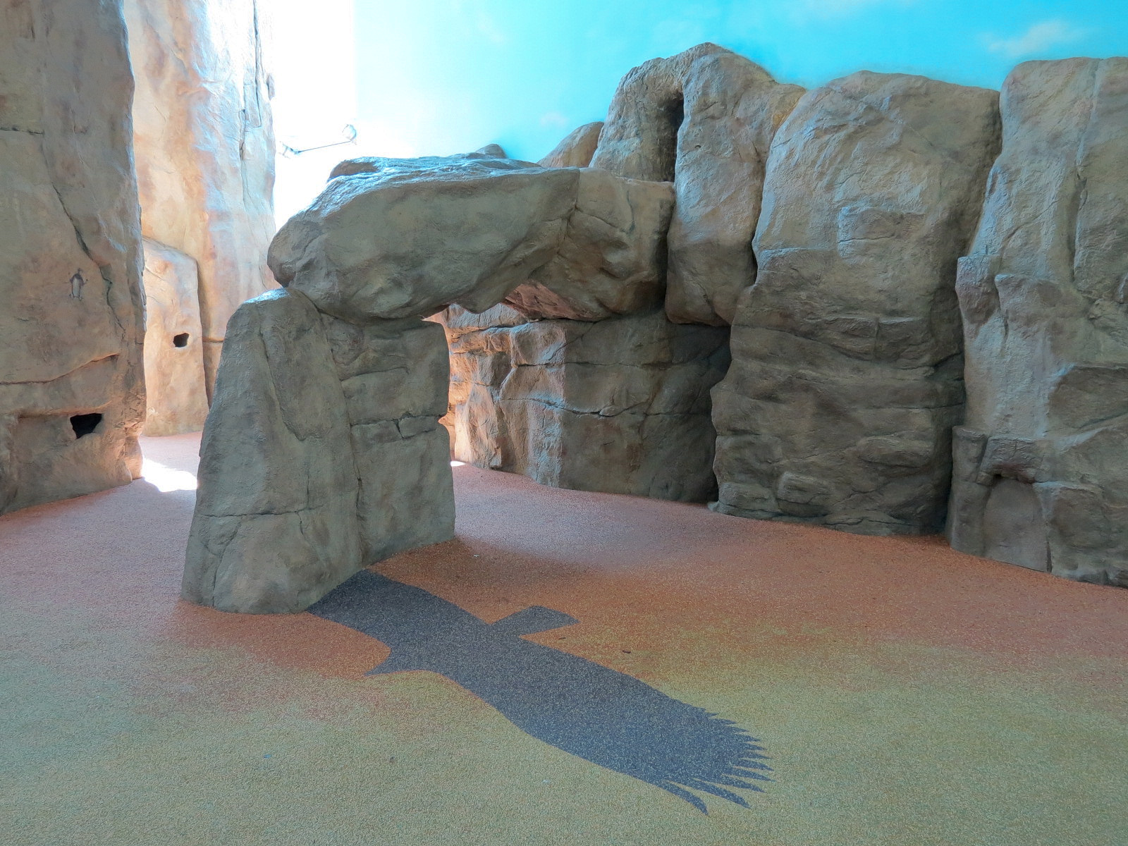 Children's Discovery Center - California Condor Rescue Zone