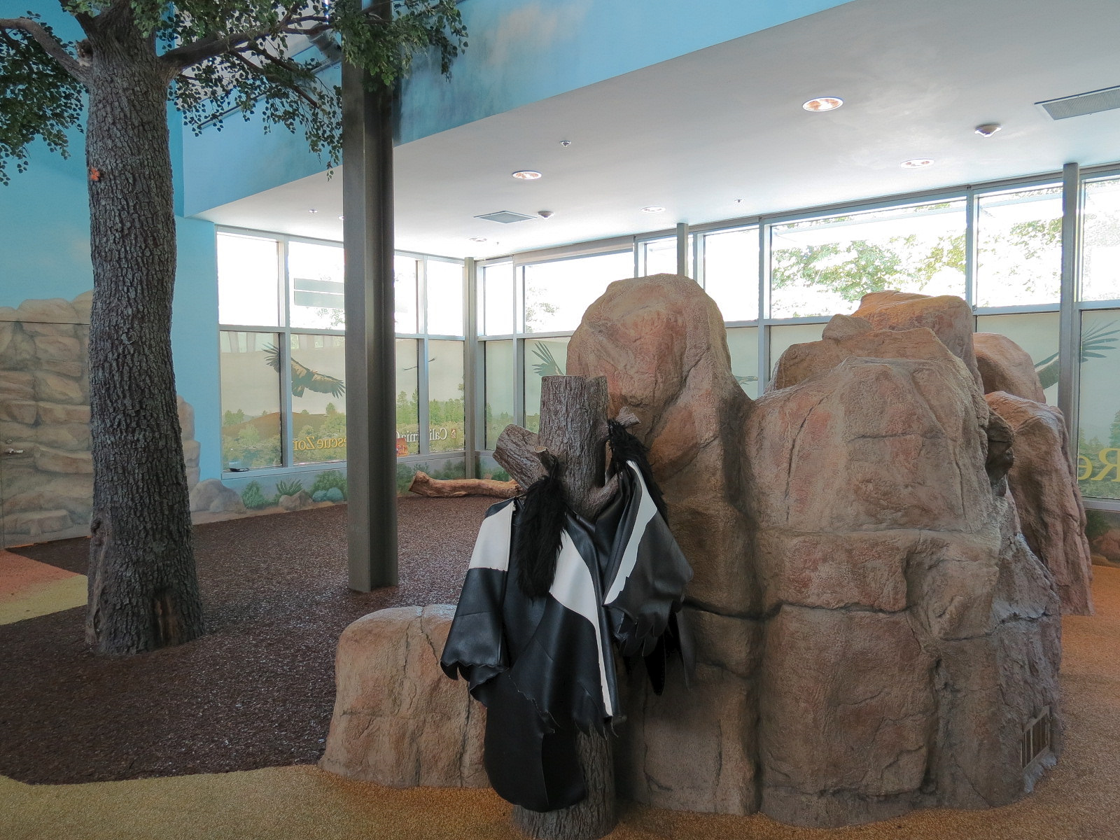 Children's Discovery Center - California Condor Rescue Zone