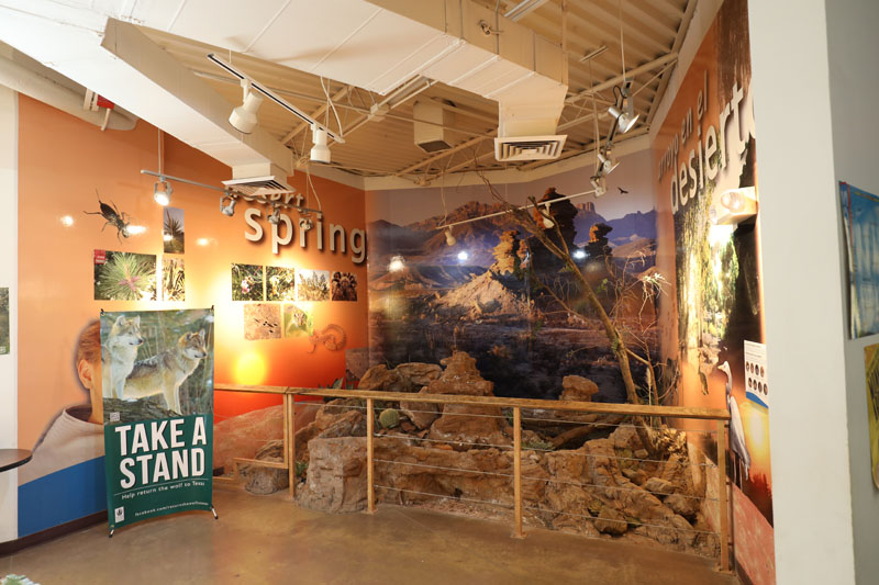 children's discovery center