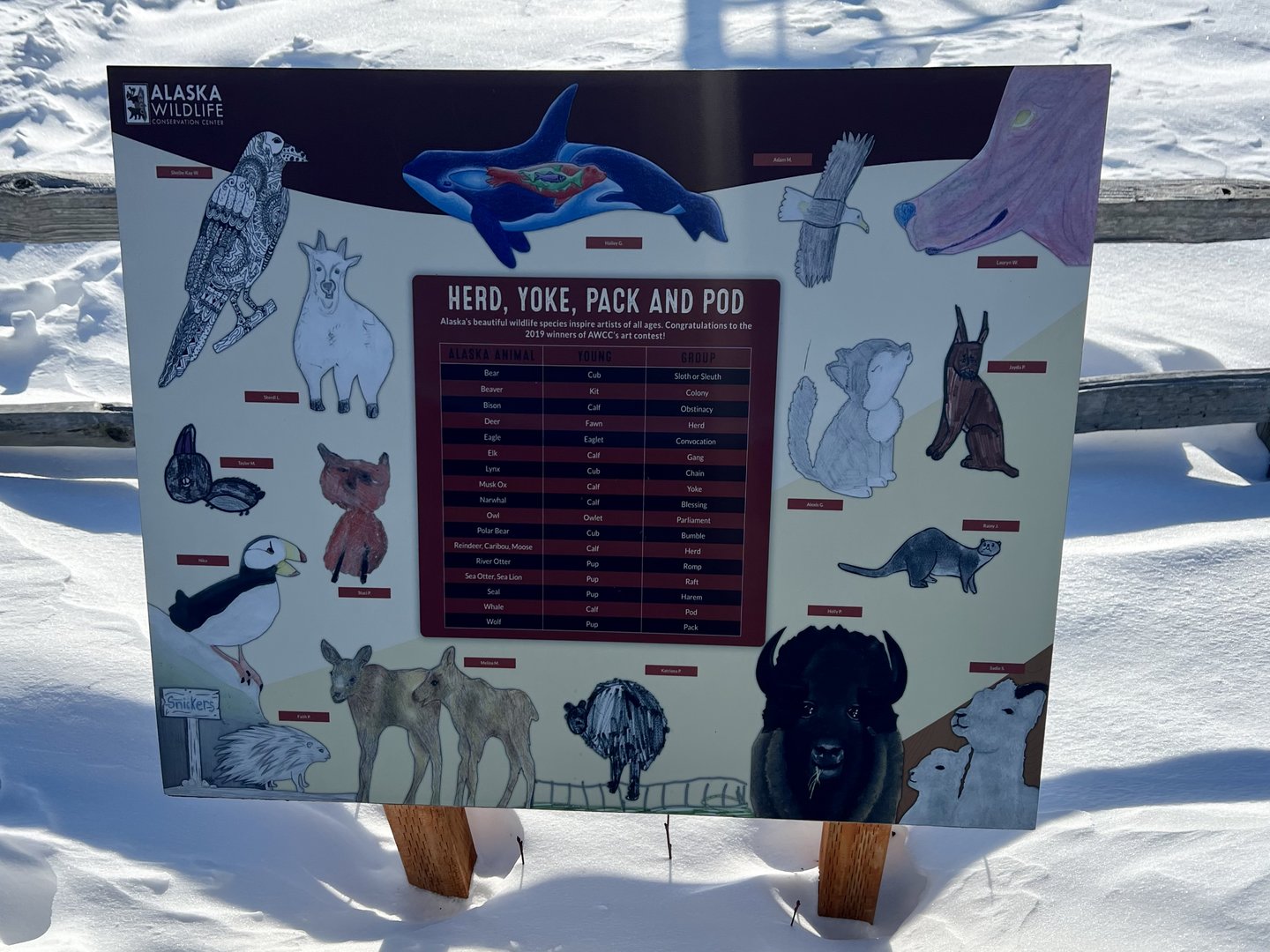 Children’s Educational Sign