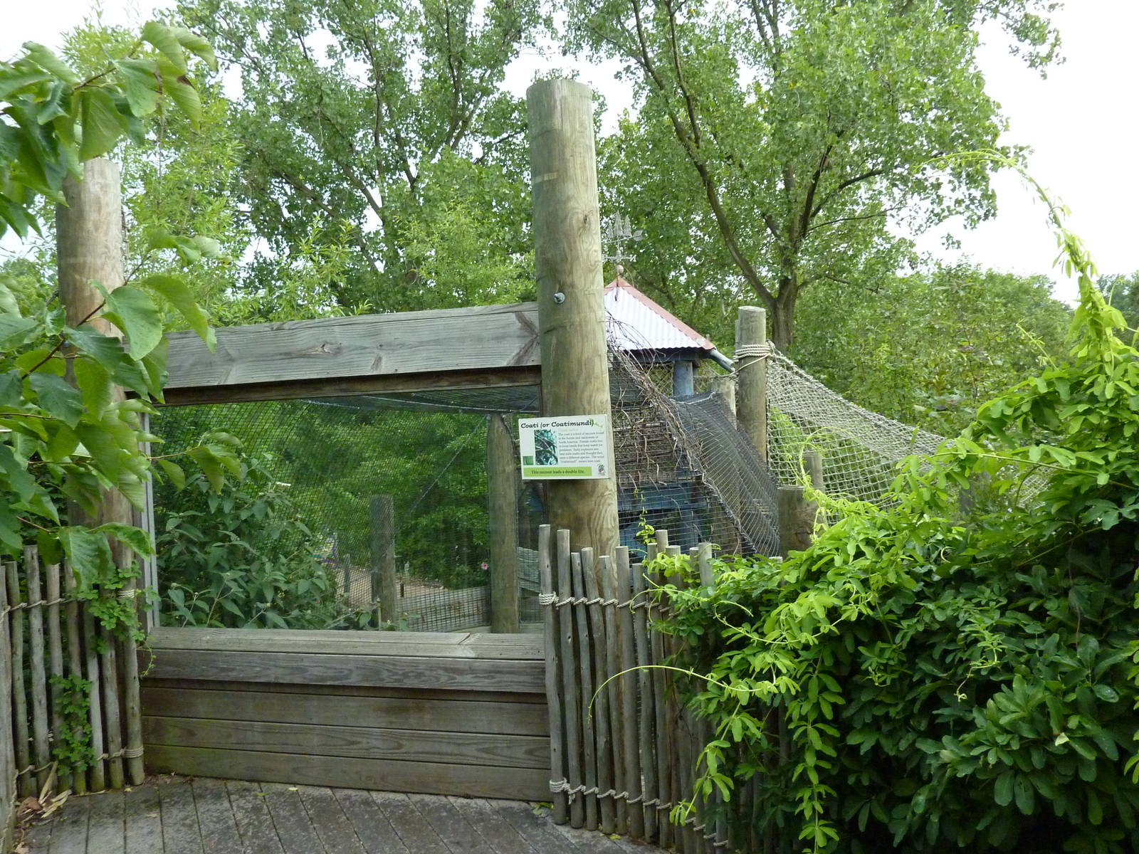 Children's Enchanted Forest - Coati Exhibit
