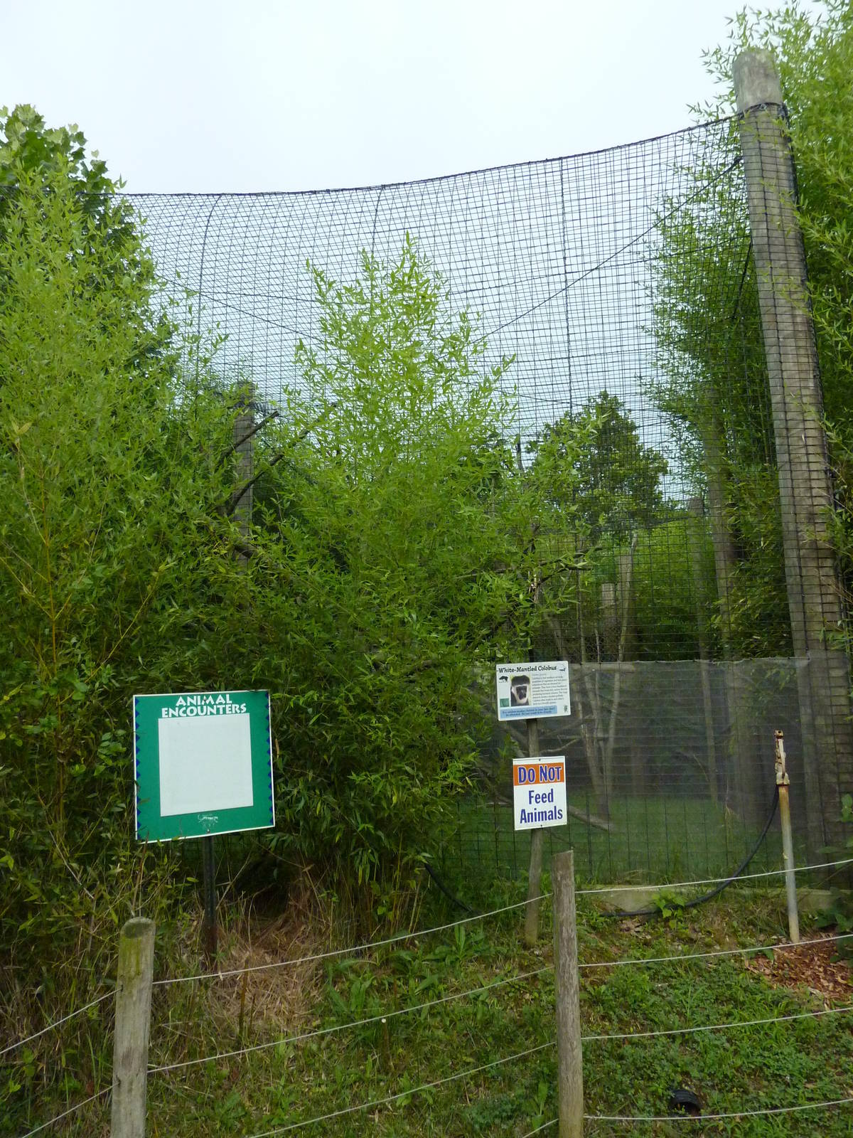 Children's Enchanted Forest - Colobus Monkey Exhibit