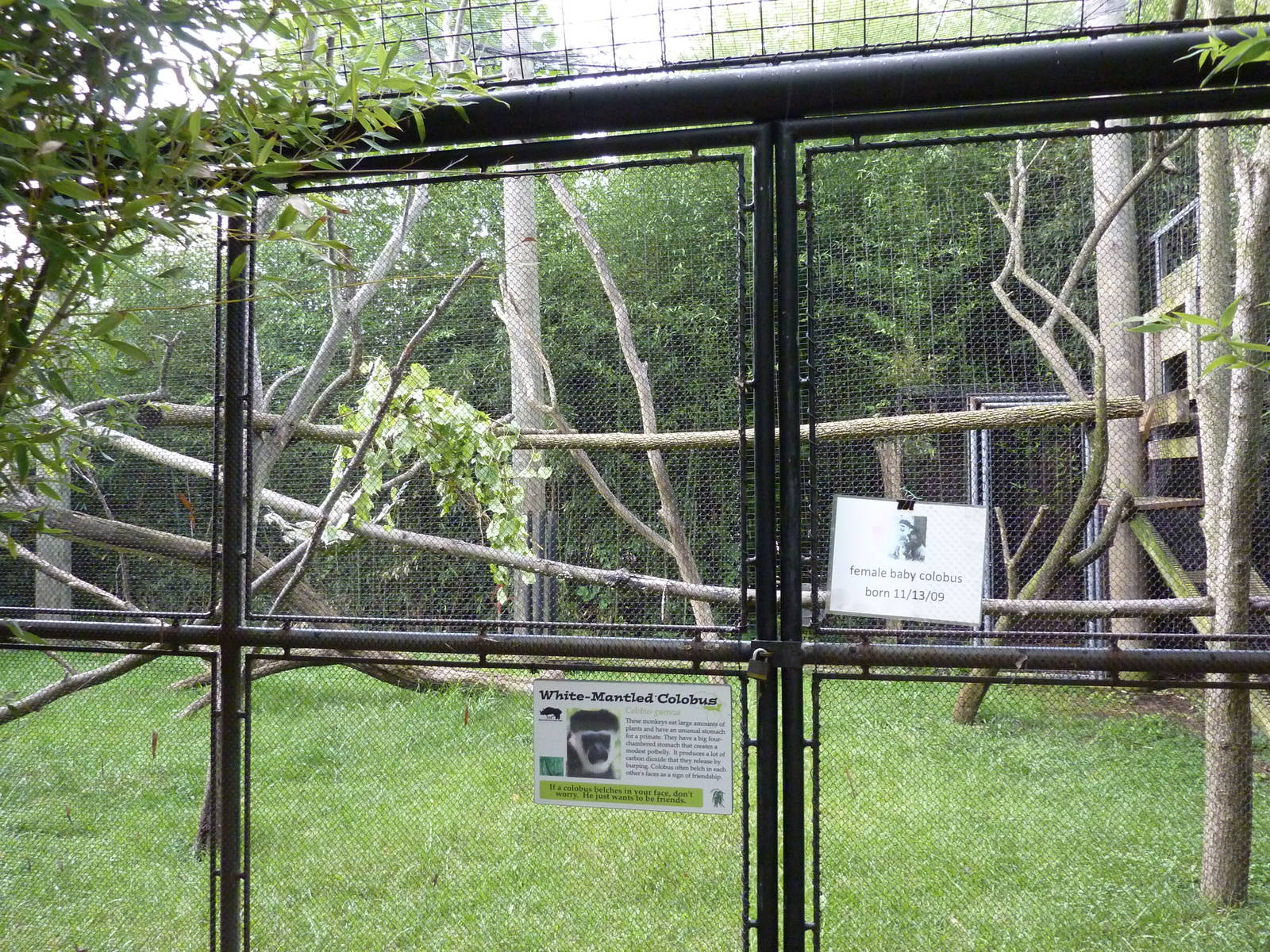 Children's Enchanted Forest - Colobus Monkey Exhibit