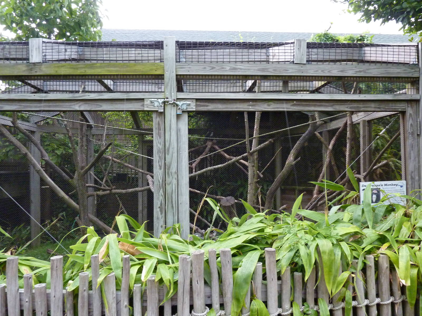 Children's Enchanted Forest - DeBrazza Monkey Exhibit