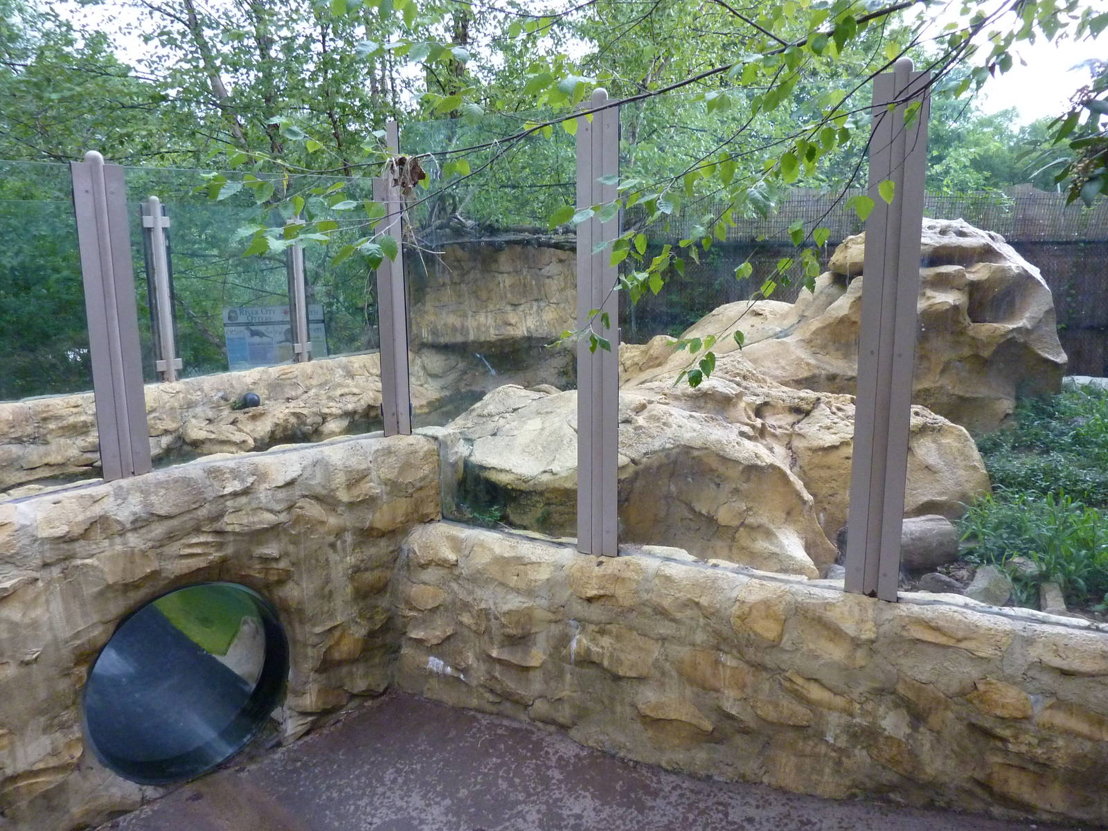 Children's Enchanted Forest - River Otter Exhibit