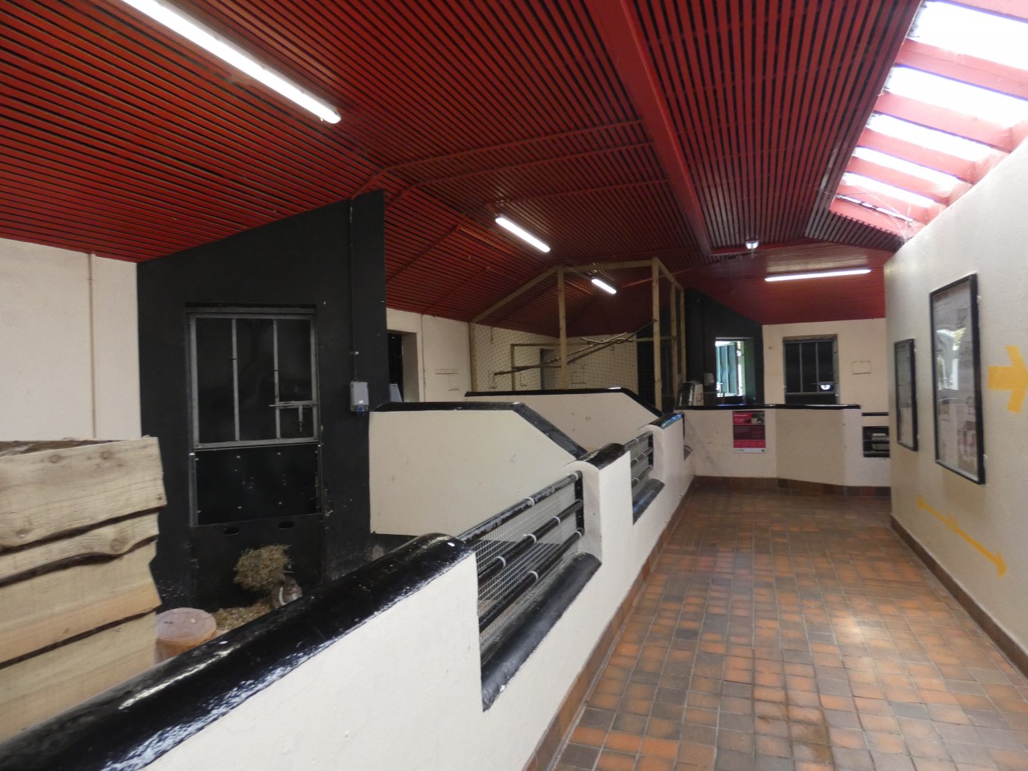 Children's farm area