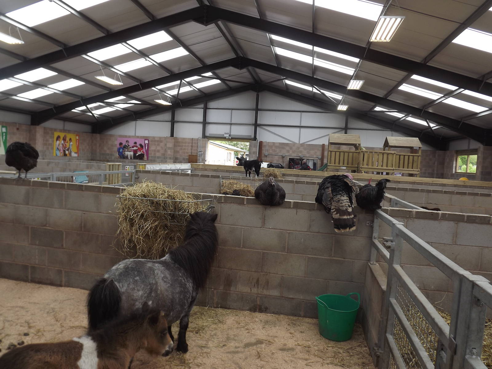 Children's Farm at Blackpool Zoo 19/05/12