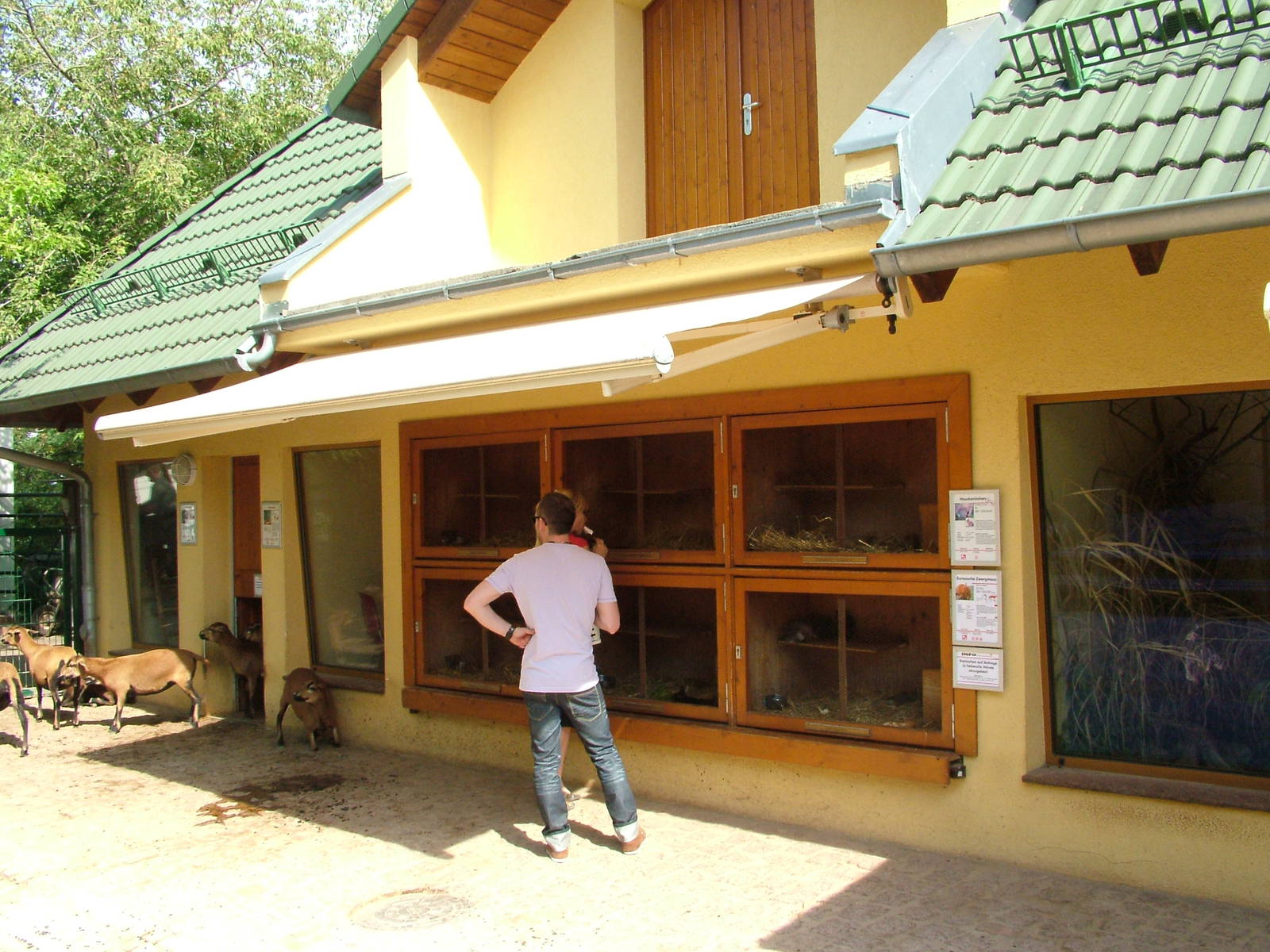 Children's Farm at Halle, 04/09/11