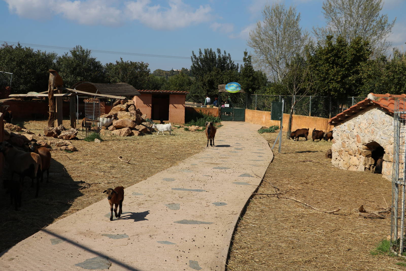 Children's farm, February 2016