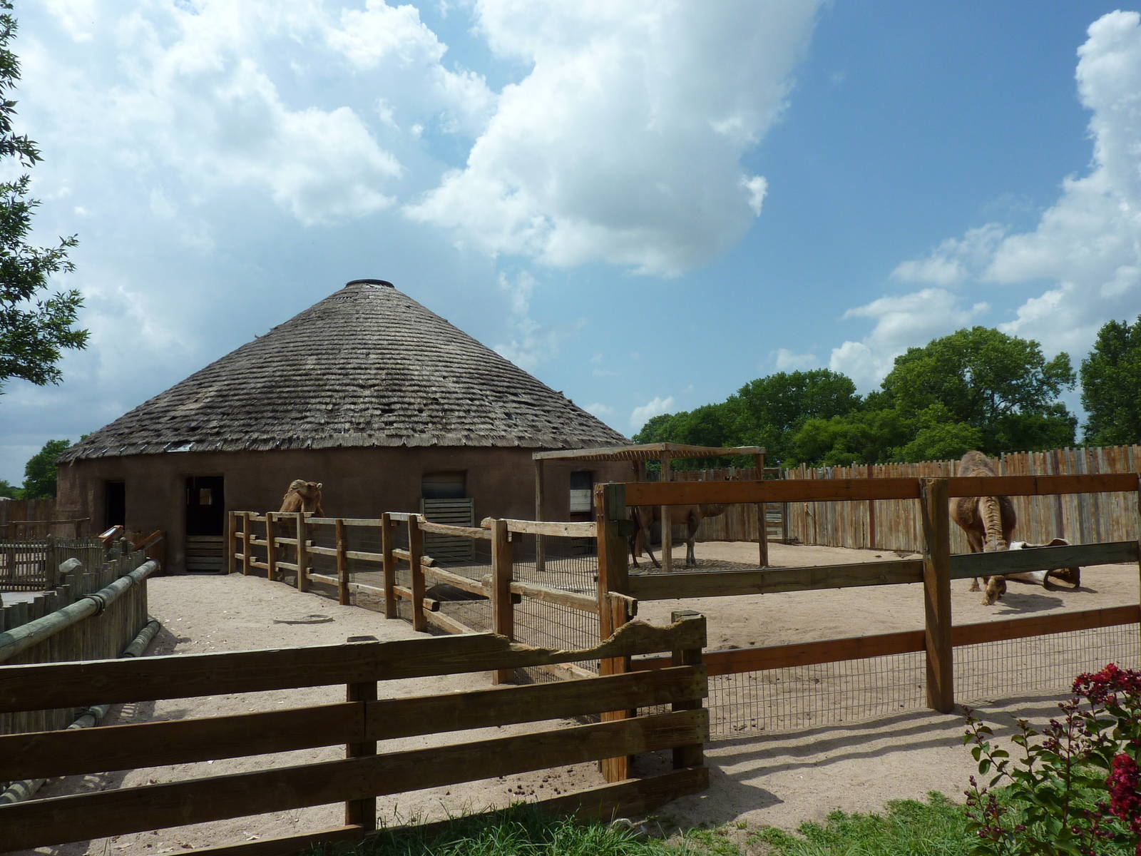 Children's Farms - African Farm