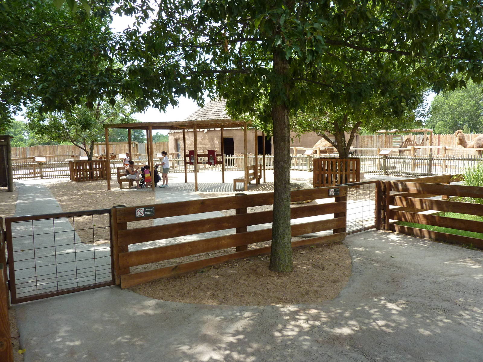 Children's Farms - African Farm