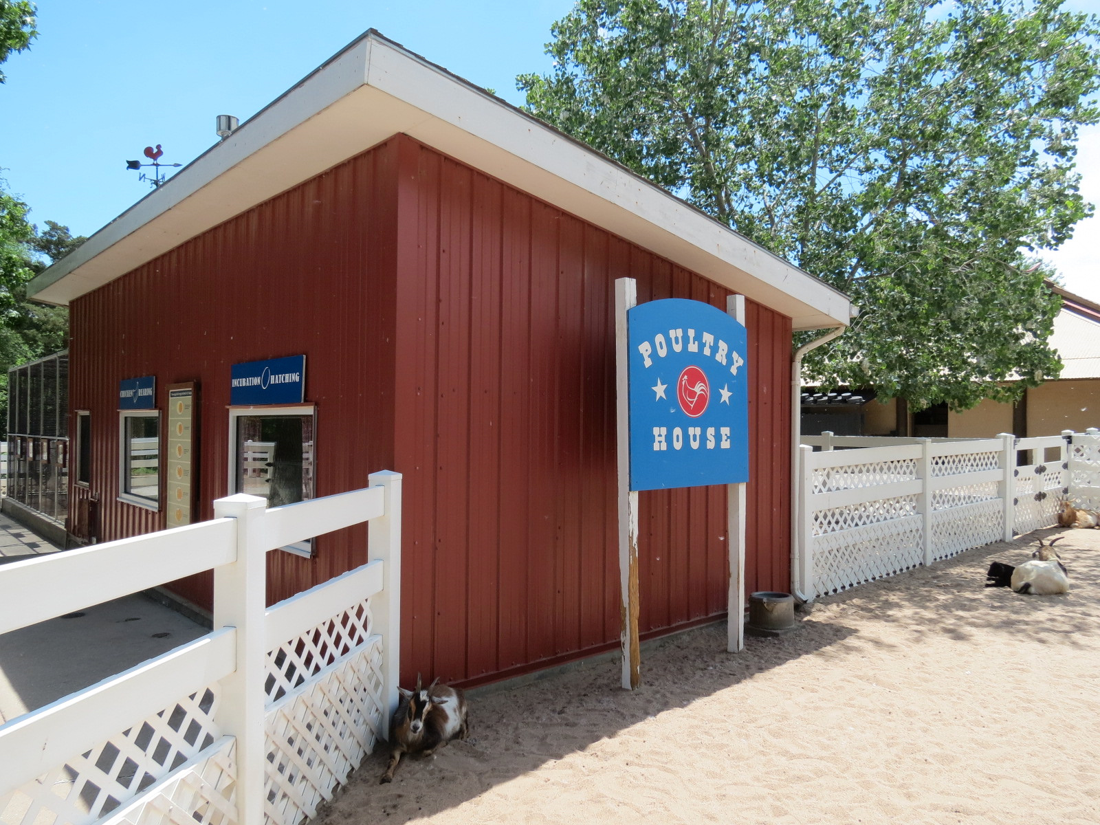 Children's Farms - American Farm - Poultry House