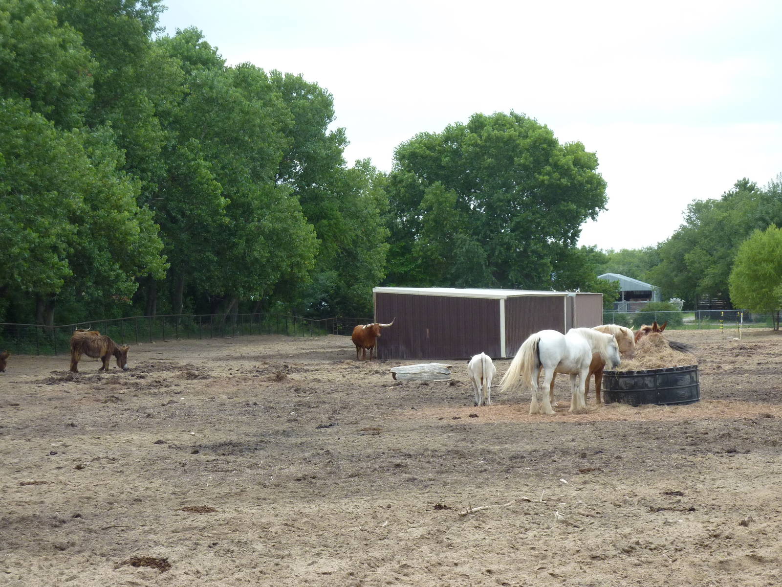 Children's Farms - American Farm