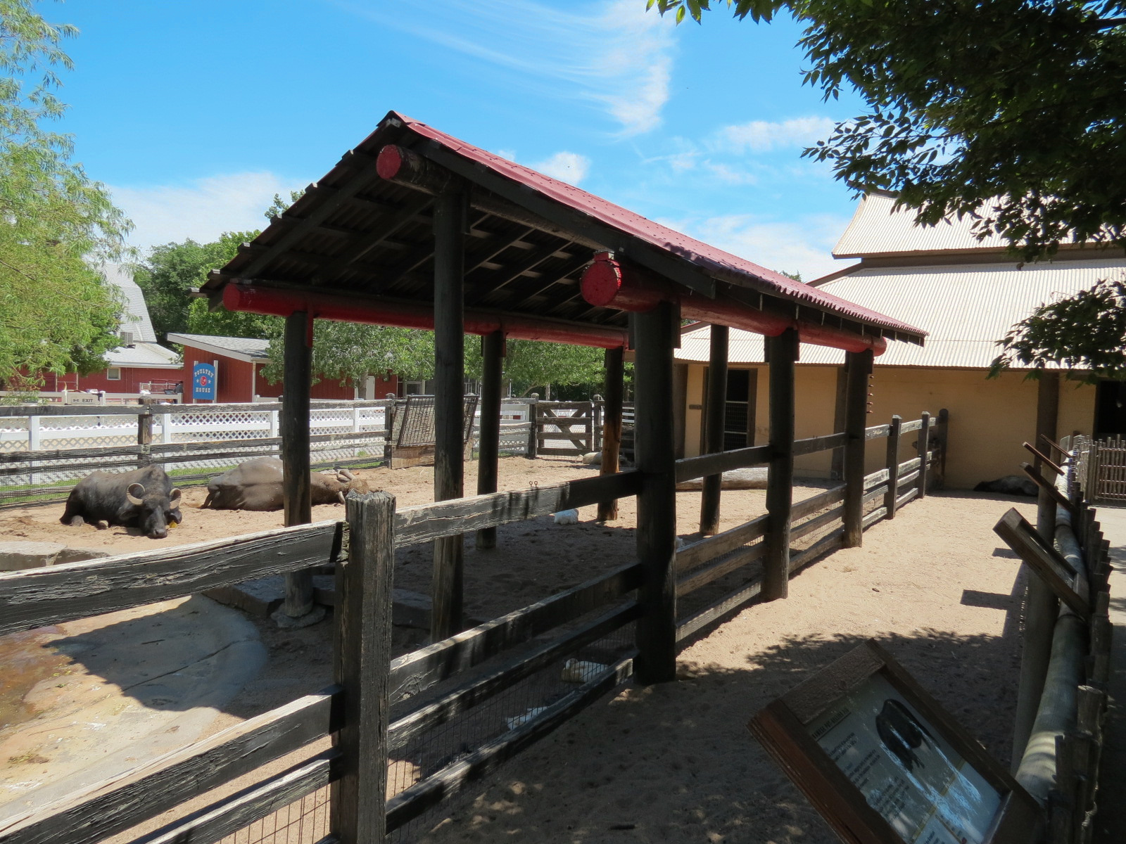 Children's Farms - Asian Farm - Domestic Water Buffalo and Pot-bellied Pig Exhibit