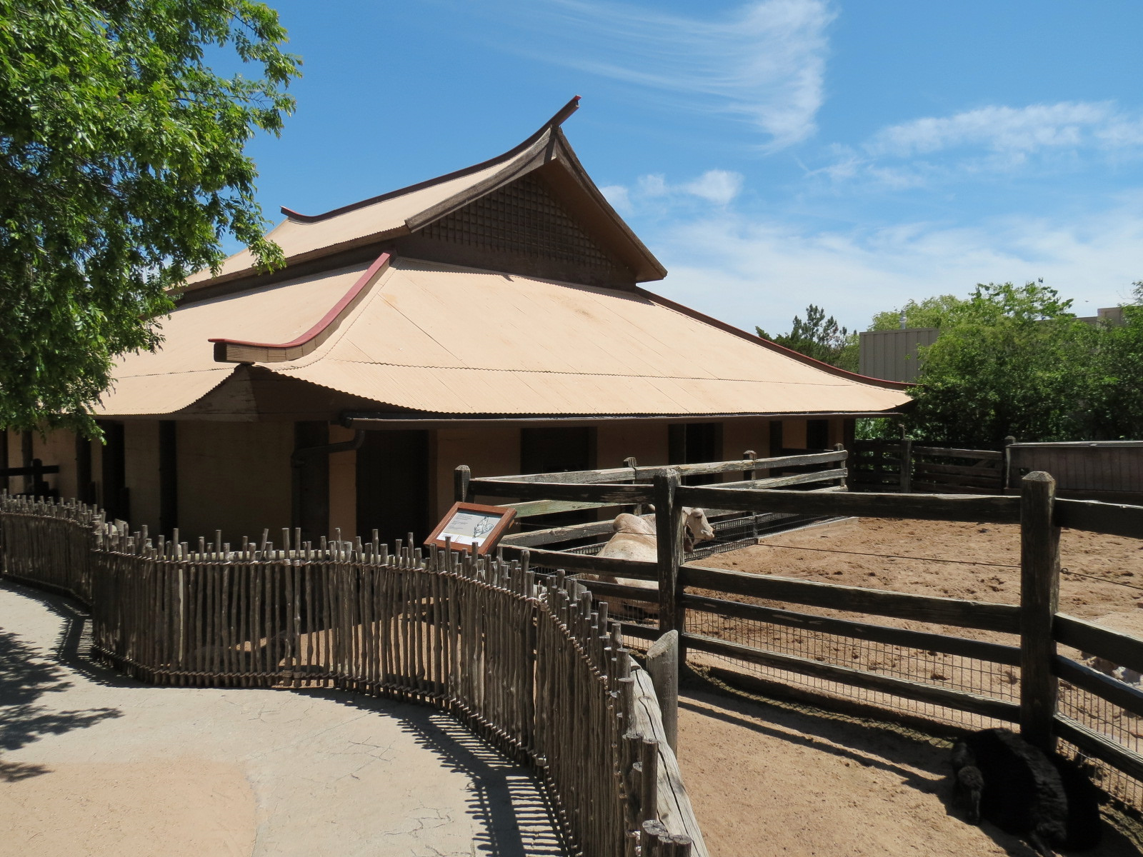 Children's Farms - Asian Farm - Gyr Zebu Exhibit