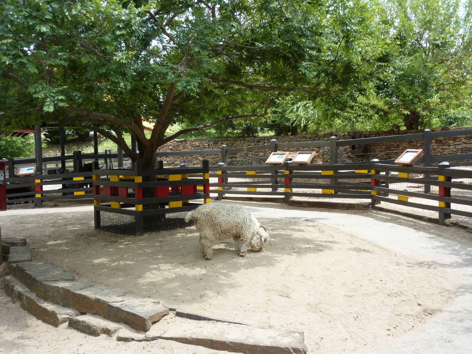 Children's Farms - Asian Farm