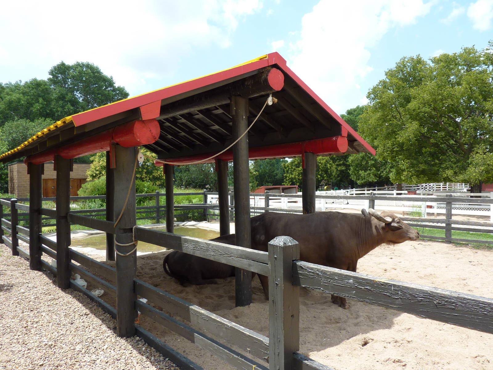Children's Farms - Asian Farm