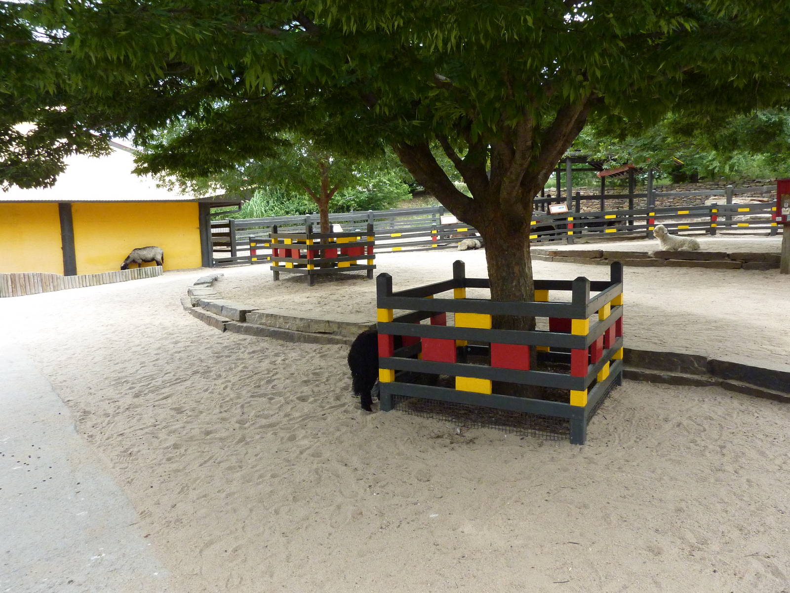 Children's Farms - Asian Farm