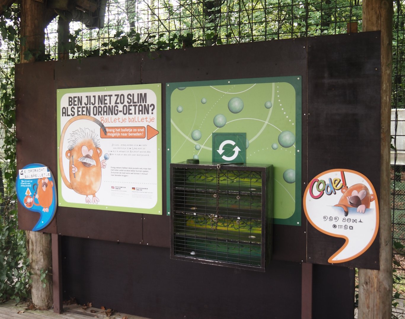 Children's game based on orangutan enrichment feeders, 2024-08-18