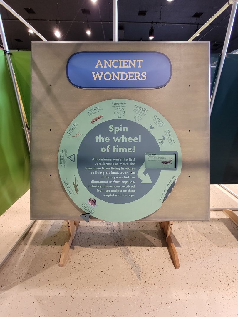 Children's Museum CT - Amazing Amphibians ancient wonders