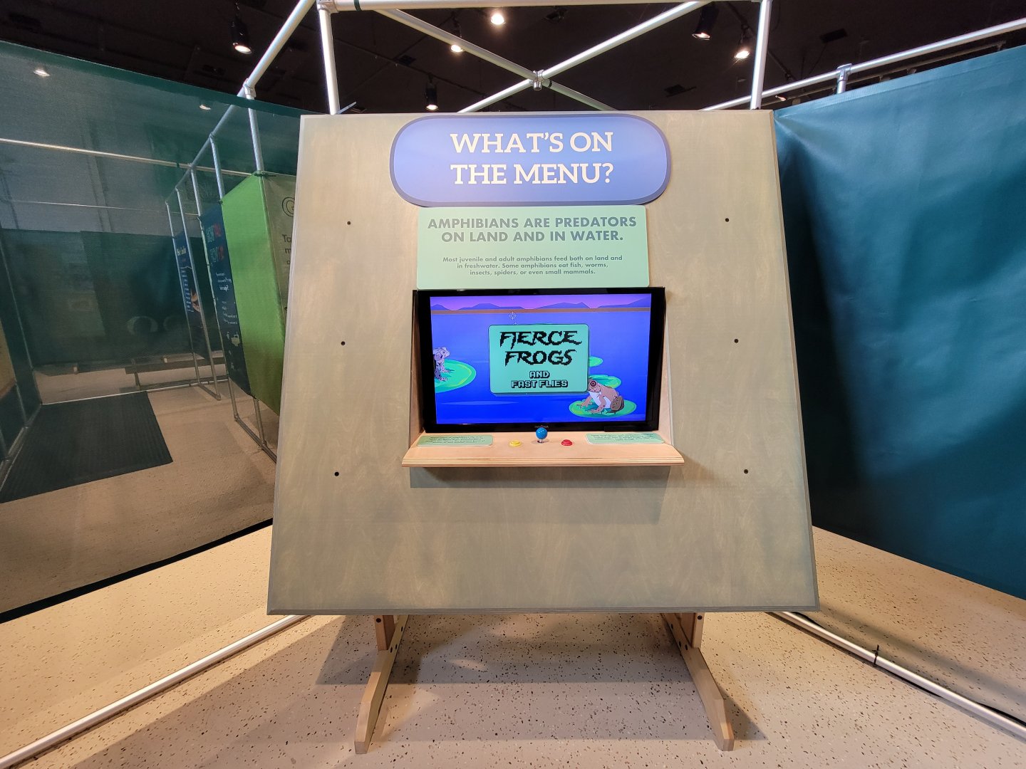 Children's Museum CT - Amazing Amphibians frog game