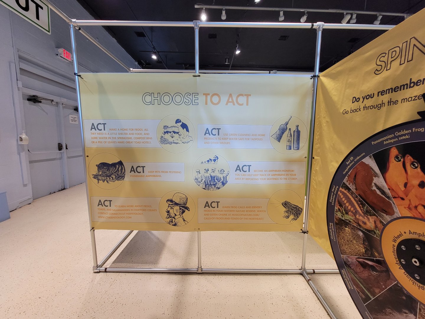 Children's Museum CT - Amazing Amphibians, how to help amphibians