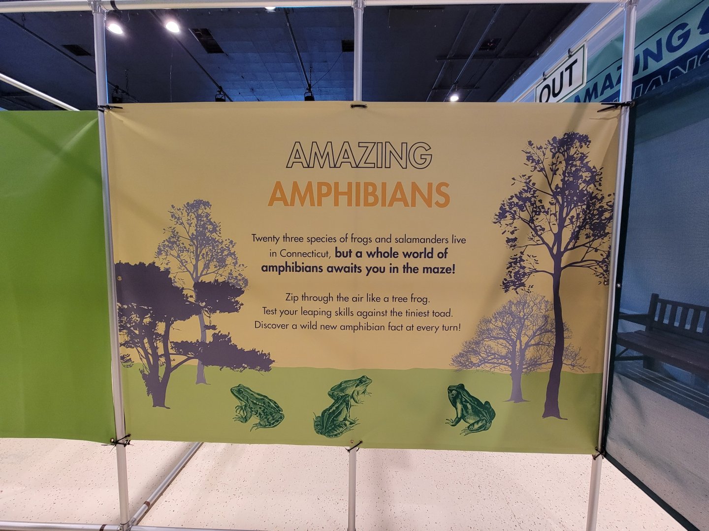 Children's Museum CT - Amazing Amphibians maze entrance