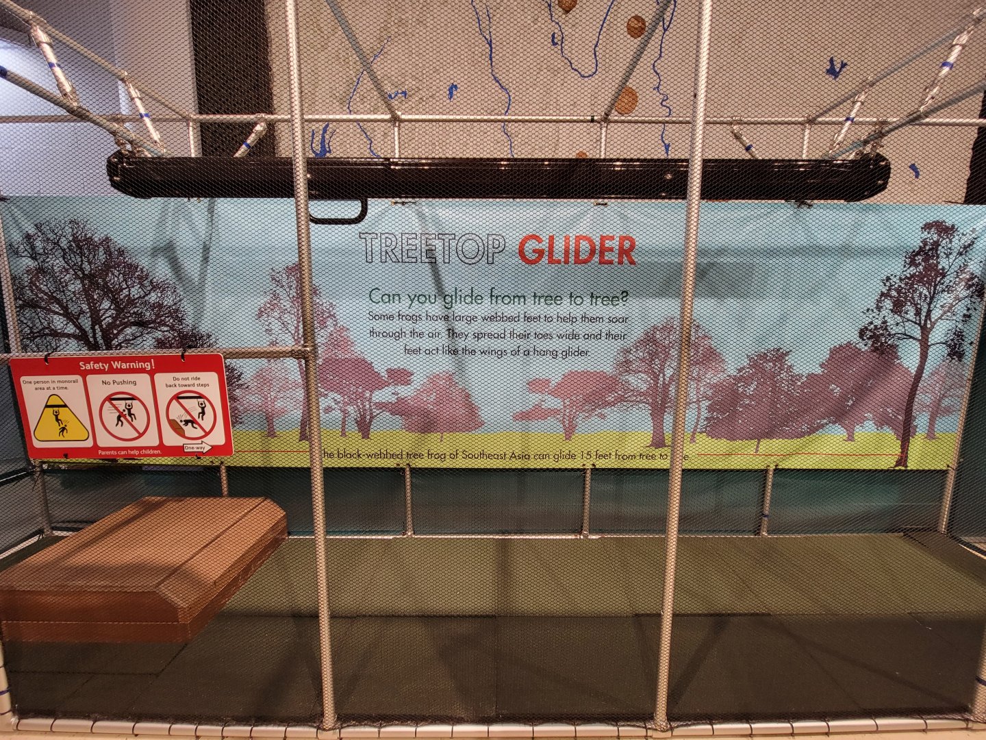 Children's Museum CT - Amazing Amphibians maze glider