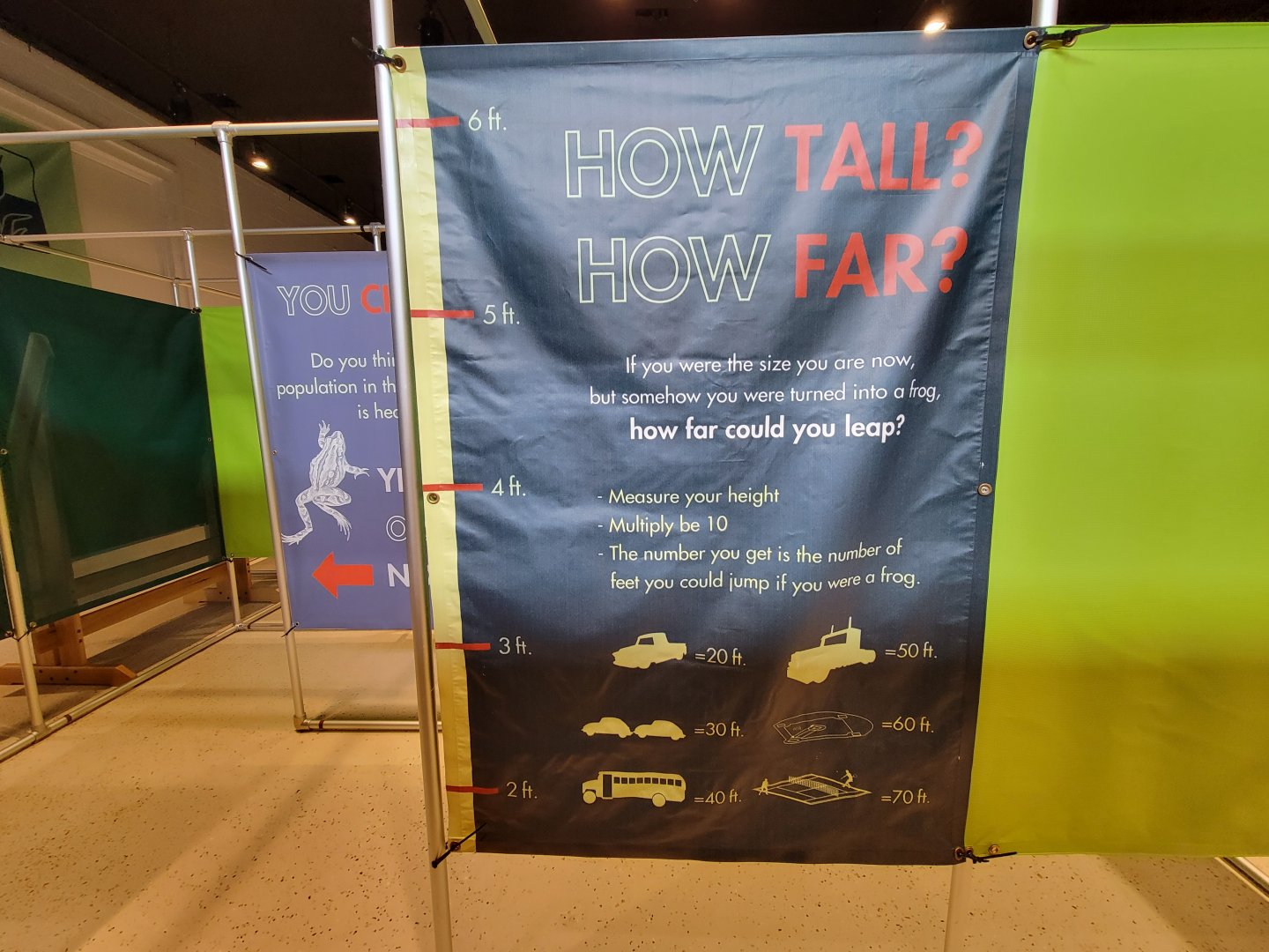 Children's Museum CT - Amazing Amphibians maze leap chart