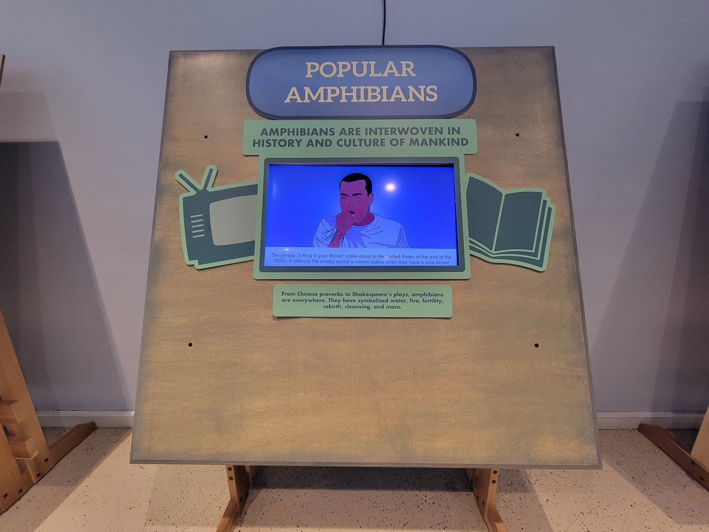 Children's Museum CT - Amazing Amphibians popular amphibians