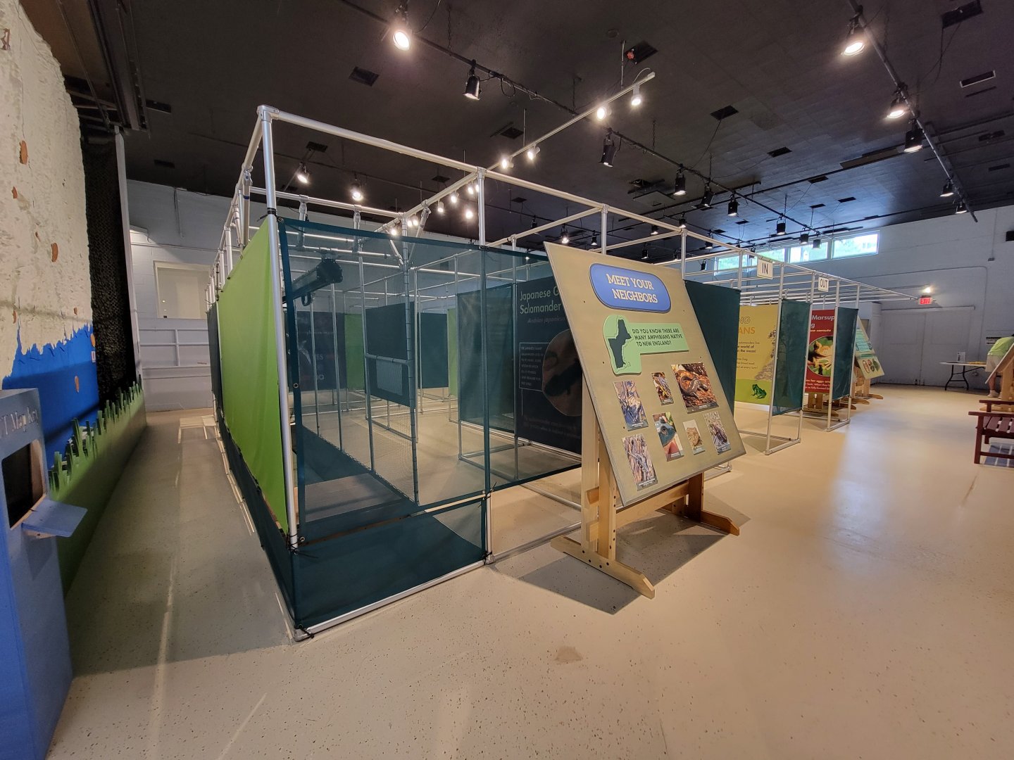 Children's Museum CT - Amazing Amphibians