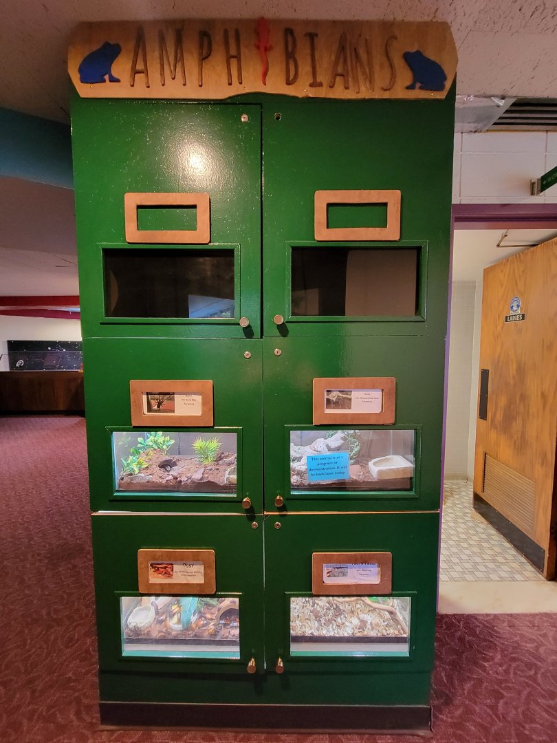 Children's Museum CT - "Amphibians"