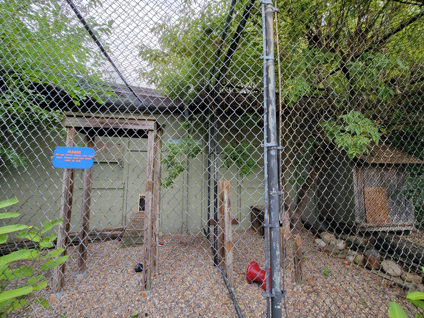 Children's Museum CT - bobcat outdoor area