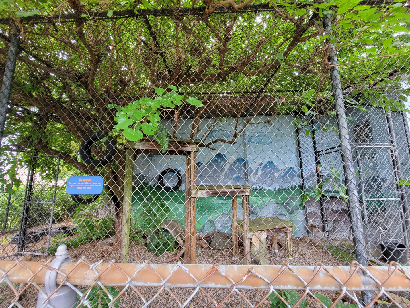 Children's Museum CT - bobcat outdoor area