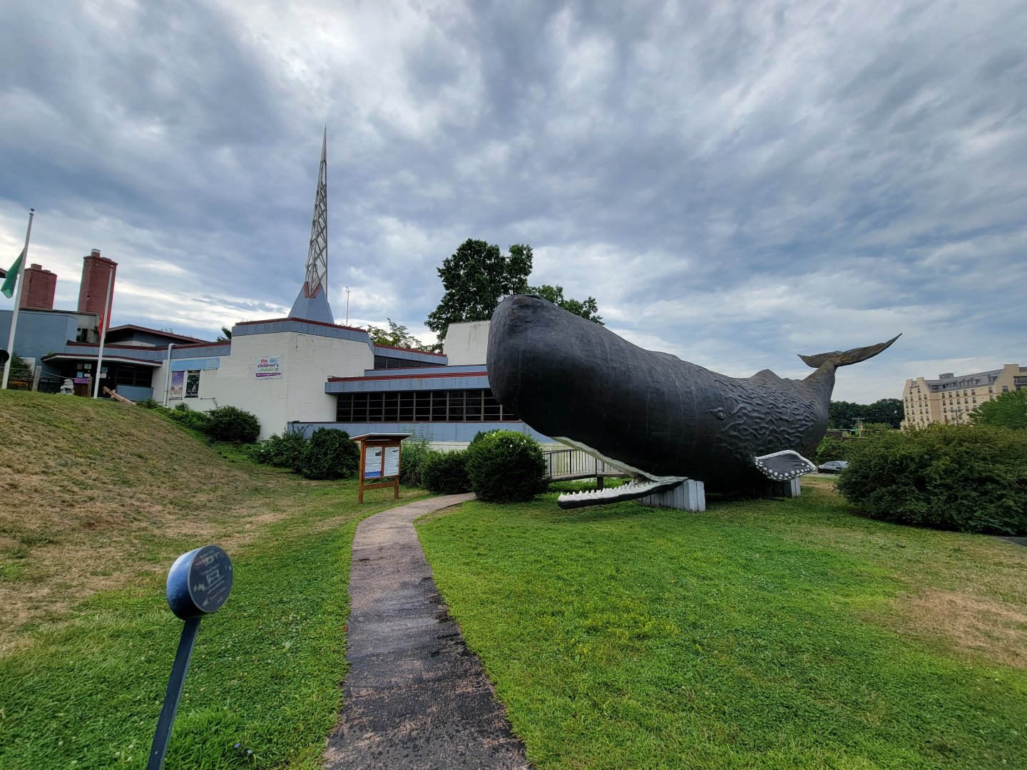 Children's Museum CT - Conny the sperm whale