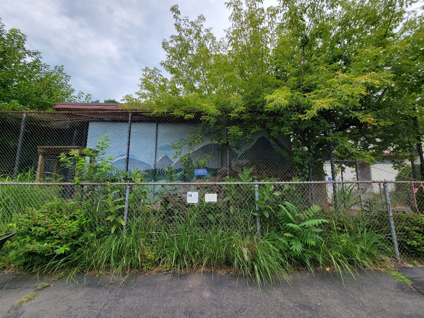 Children's Museum CT - Coyote