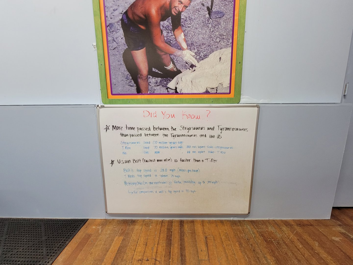 Children's Museum CT - Dinos in Your Backyard, did you know?