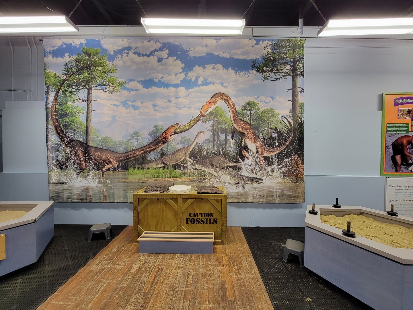 Children's Museum CT - Dinos in Your Backyard