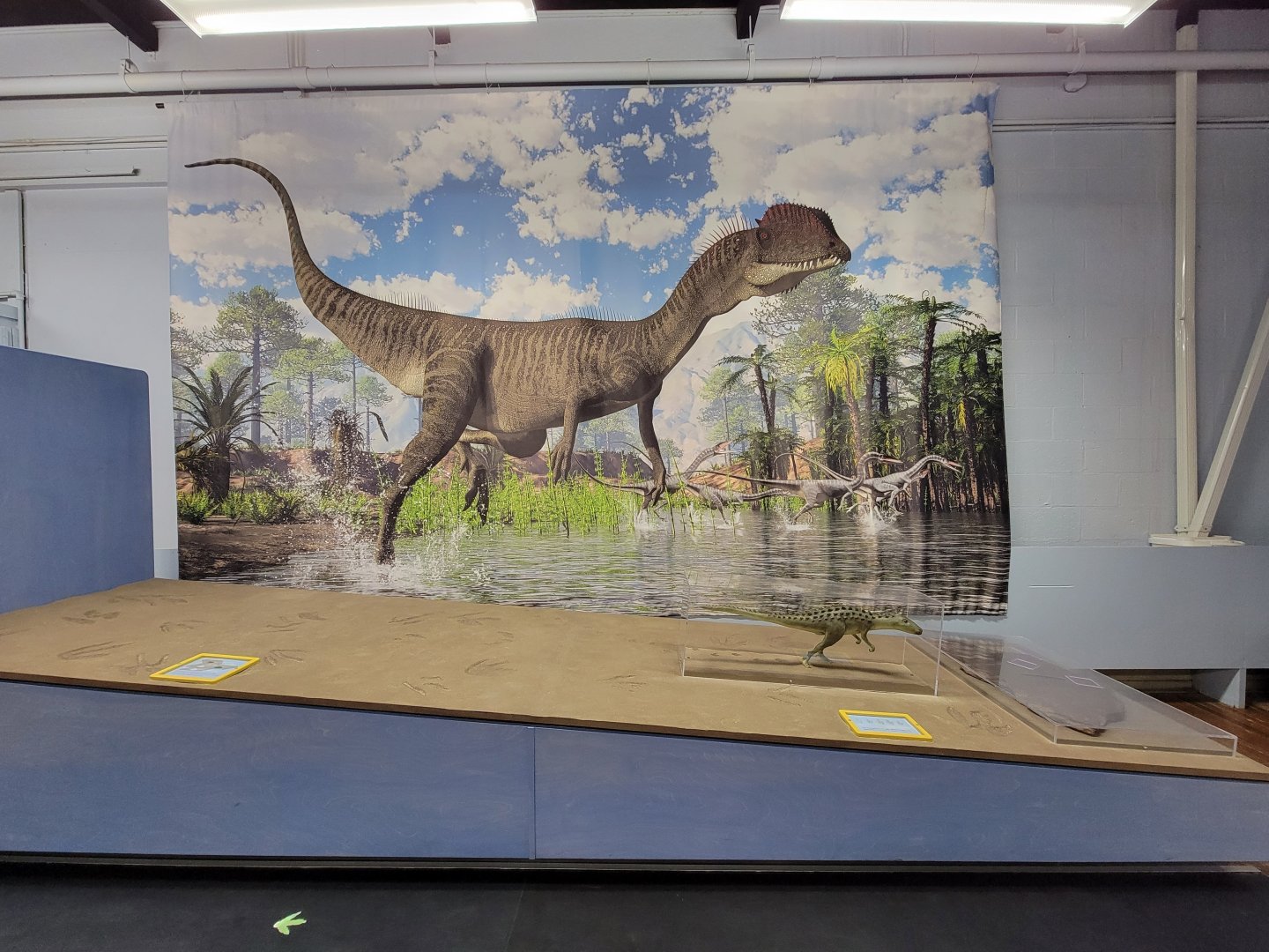 Children's Museum CT - Dinos in Your Backyard